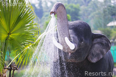 Khaolak Emerald Beach Resort & Spa 29